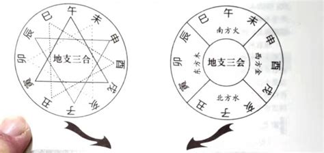 地支三会|三合、三会、六合、六害、三刑地支（属相知识）